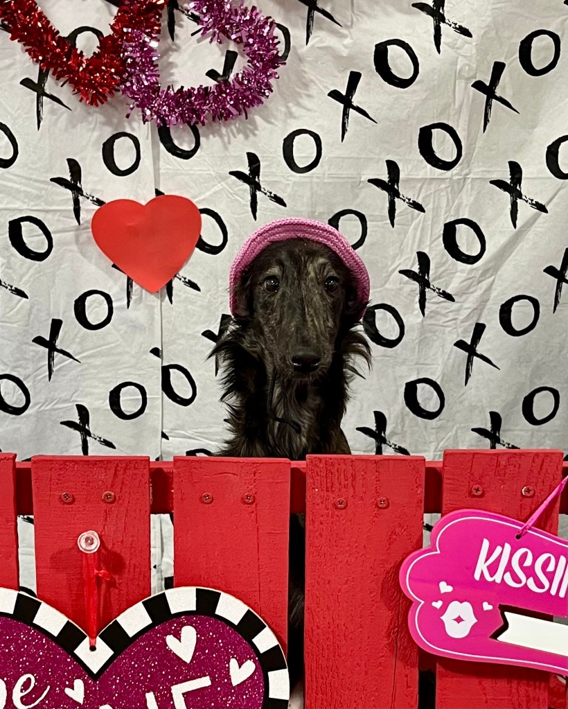 Judy in a hat at a Valentine's Day kissing booth. 6 months old.